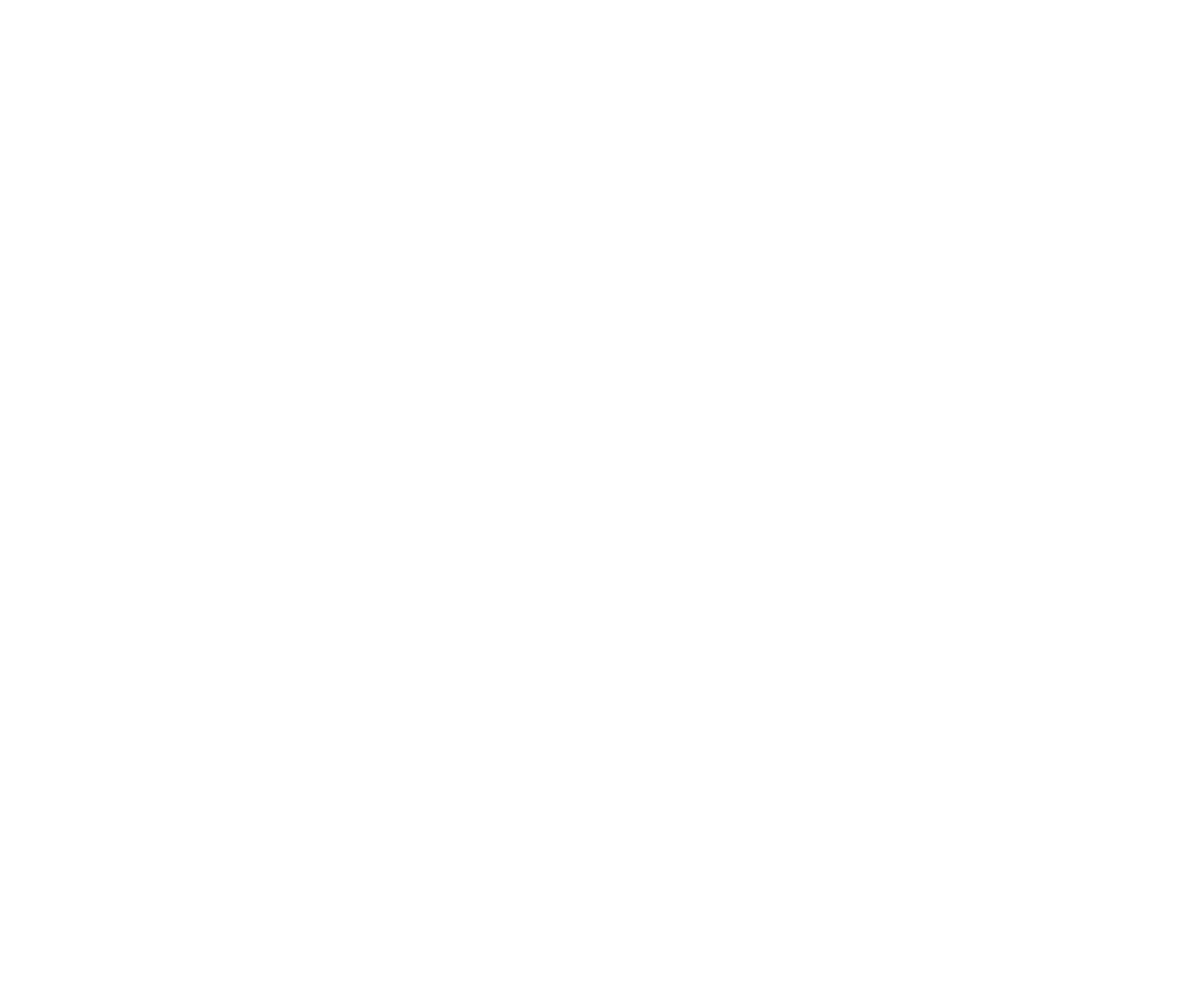 Mirza Festival